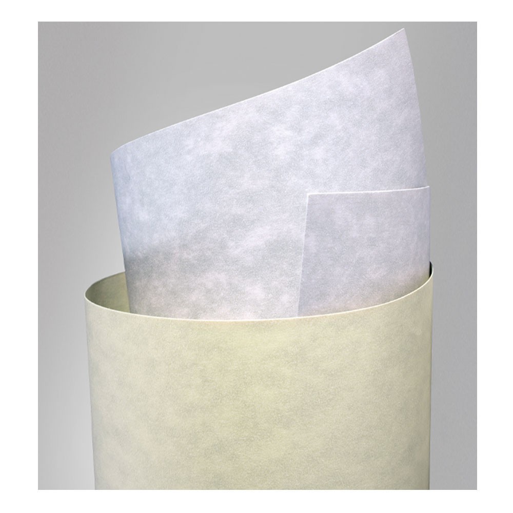 Carton diferite texturi A4 220gr 20 bucati Crem Linii - imagine 8